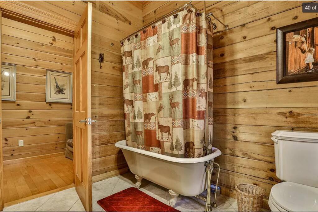 Blue Ridge Bliss- Spacious Cabin, Pets, Hot Tub! Zewnętrze zdjęcie
